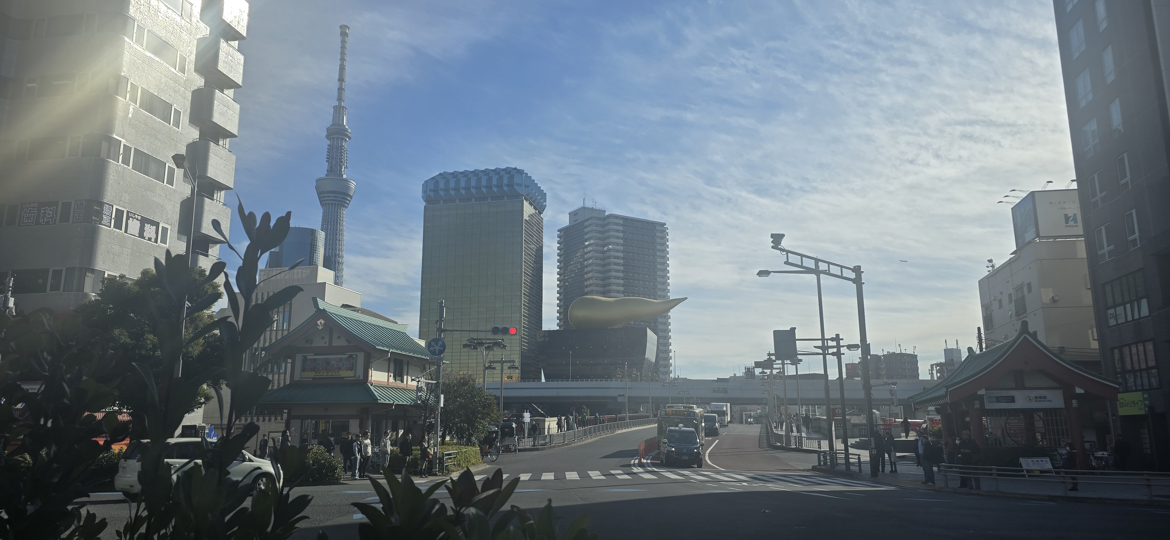 回望天空树